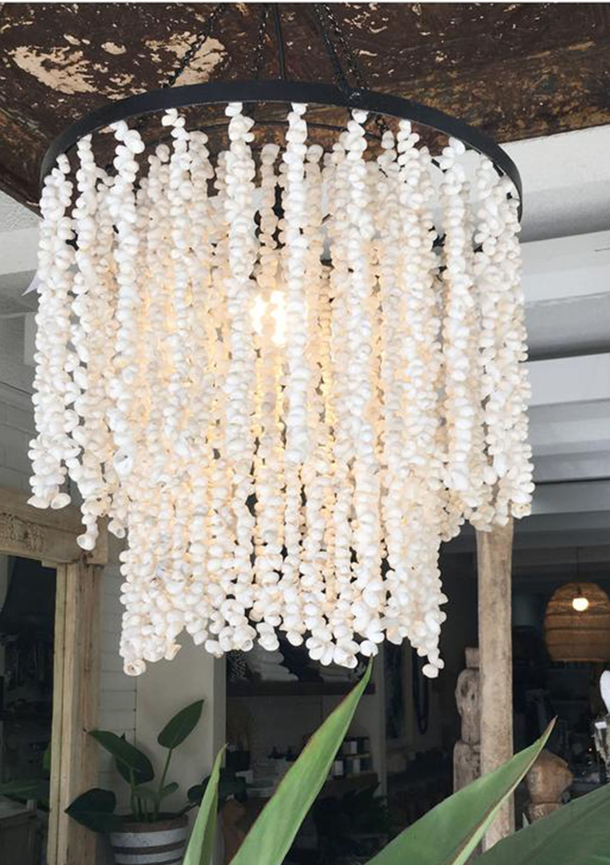 Marley Shell Chandelier
